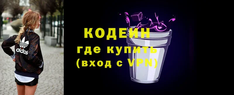 Кодеин Purple Drank  где купить   Кадников 