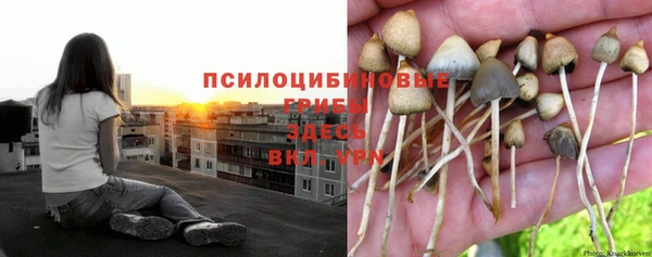 mdpv Надым