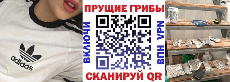 Псилоцибиновые грибы GOLDEN TEACHER  где продают   Кадников 