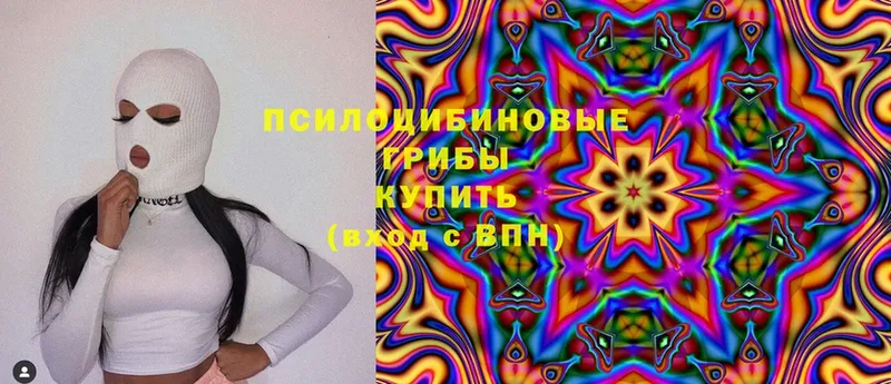 Галлюциногенные грибы Psilocybine cubensis  shop официальный сайт  Кадников 